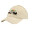 Daytona International Speedway Stone Slouch Hat